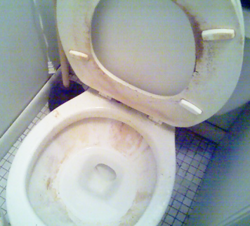 dirty_toilet